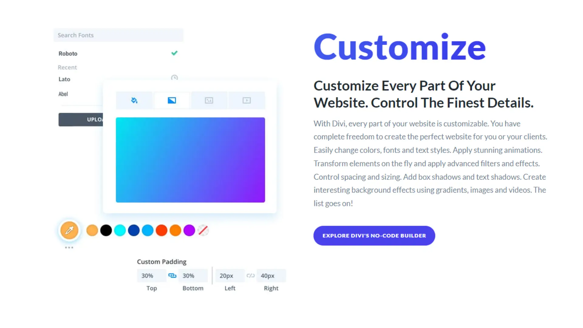 Customize Your Website with Divi WordPress Theme