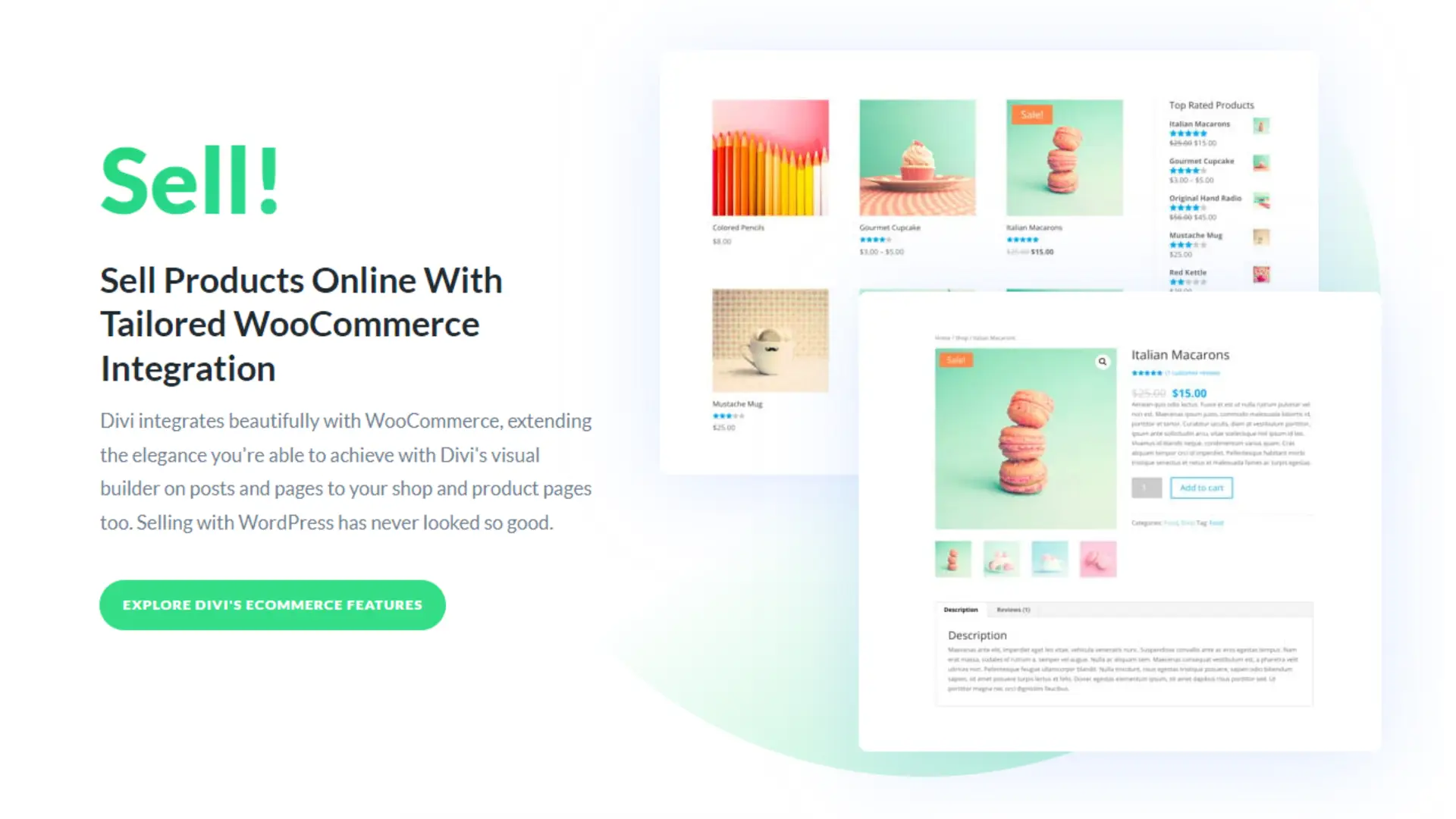 Divi Review
