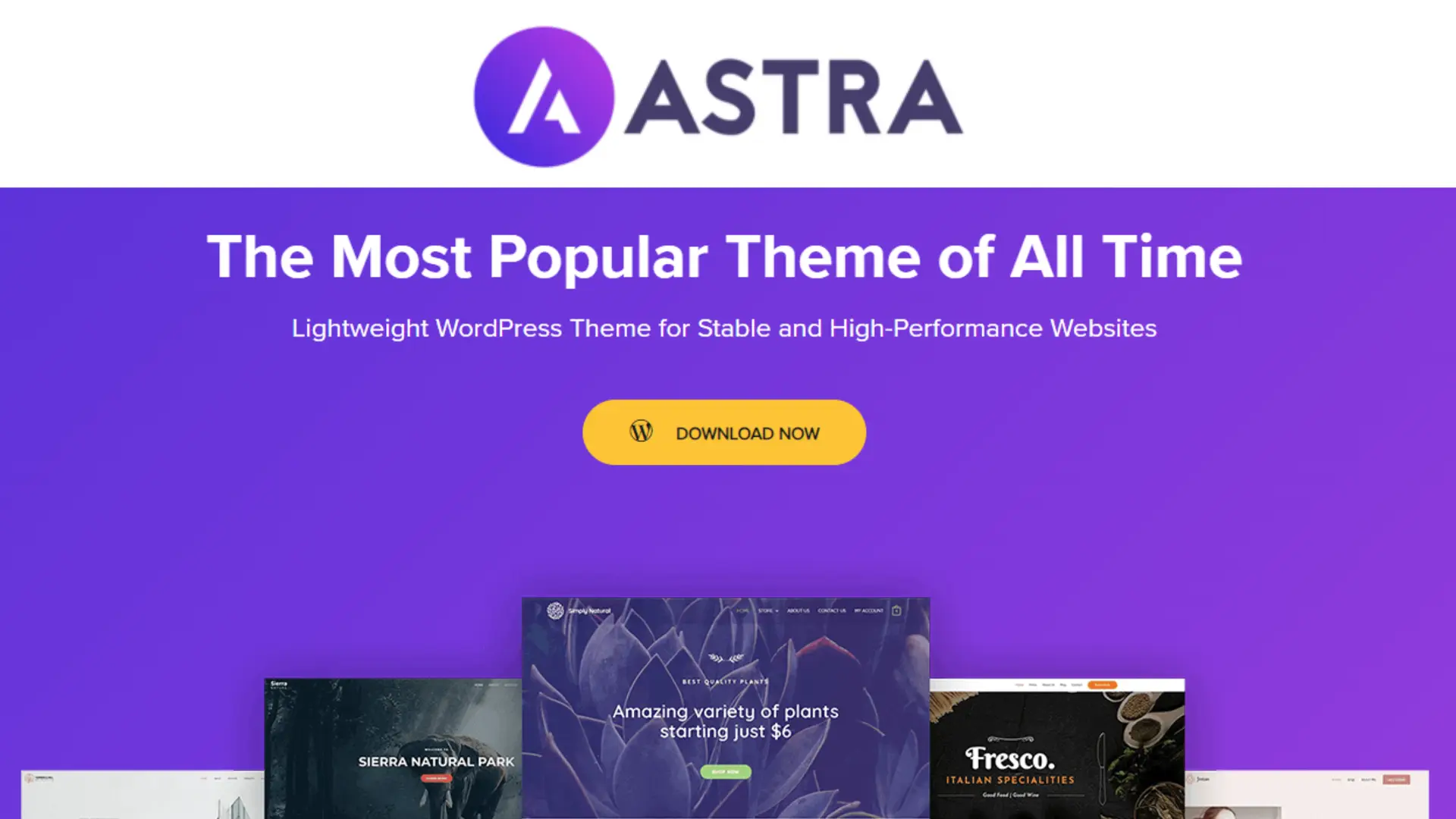 Astra WordPress Theme